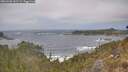 ./images/calvert/foggy-cove/20260426/foggy-cove20260426_141501M.jpg
