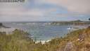 ./images/calvert/foggy-cove/20260426/foggy-cove20260426_142001M.jpg