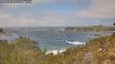 ./images/calvert/foggy-cove/20260426/foggy-cove20260426_142501M.jpg