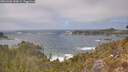 ./images/calvert/foggy-cove/20260426/foggy-cove20260426_143001M.jpg