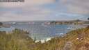 ./images/calvert/foggy-cove/20260426/foggy-cove20260426_143501M.jpg