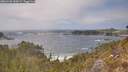 ./images/calvert/foggy-cove/20260426/foggy-cove20260426_144502M.jpg