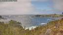 ./images/calvert/foggy-cove/20260426/foggy-cove20260426_145001M.jpg