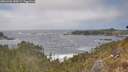 ./images/calvert/foggy-cove/20260426/foggy-cove20260426_150501M.jpg