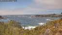./images/calvert/foggy-cove/20260426/foggy-cove20260426_152001M.jpg