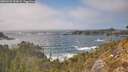 ./images/calvert/foggy-cove/20260426/foggy-cove20260426_153002M.jpg