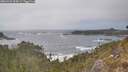 ./images/calvert/foggy-cove/20260426/foggy-cove20260426_154501M.jpg