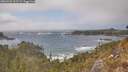 ./images/calvert/foggy-cove/20260426/foggy-cove20260426_155501M.jpg