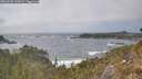 ./images/calvert/foggy-cove/20260426/foggy-cove20260426_160001M.jpg
