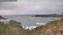 ./images/calvert/foggy-cove/20260426/foggy-cove20260426_161501M.jpg