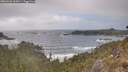 ./images/calvert/foggy-cove/20260426/foggy-cove20260426_162002M.jpg