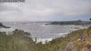 ./images/calvert/foggy-cove/20260426/foggy-cove20260426_163001M.jpg