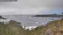 ./images/calvert/foggy-cove/20260426/foggy-cove20260426_163502M.jpg