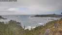 ./images/calvert/foggy-cove/20260426/foggy-cove20260426_164001M.jpg
