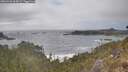./images/calvert/foggy-cove/20260426/foggy-cove20260426_164501M.jpg