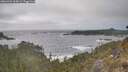 ./images/calvert/foggy-cove/20260426/foggy-cove20260426_165001M.jpg