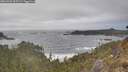 ./images/calvert/foggy-cove/20260426/foggy-cove20260426_165502M.jpg