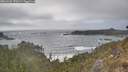 ./images/calvert/foggy-cove/20260426/foggy-cove20260426_170501M.jpg