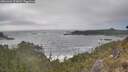./images/calvert/foggy-cove/20260426/foggy-cove20260426_171001M.jpg