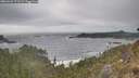 ./images/calvert/foggy-cove/20260426/foggy-cove20260426_171501M.jpg