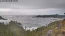 ./images/calvert/foggy-cove/20260426/foggy-cove20260426_172001M.jpg