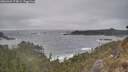 ./images/calvert/foggy-cove/20260426/foggy-cove20260426_174001M.jpg