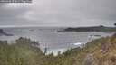 ./images/calvert/foggy-cove/20260426/foggy-cove20260426_174501M.jpg