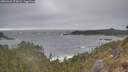 ./images/calvert/foggy-cove/20260426/foggy-cove20260426_175001M.jpg