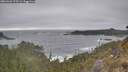 ./images/calvert/foggy-cove/20260426/foggy-cove20260426_175501M.jpg