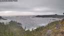 ./images/calvert/foggy-cove/20260426/foggy-cove20260426_181502M.jpg