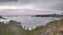 ./images/calvert/foggy-cove/20260426/foggy-cove20260426_182001M.jpg