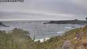./images/calvert/foggy-cove/20260426/foggy-cove20260426_183001M.jpg