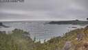 ./images/calvert/foggy-cove/20260426/foggy-cove20260426_183501M.jpg