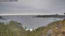 ./images/calvert/foggy-cove/20260426/foggy-cove20260426_185001M.jpg