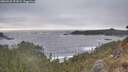./images/calvert/foggy-cove/20260426/foggy-cove20260426_192001M.jpg