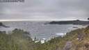 ./images/calvert/foggy-cove/20260426/foggy-cove20260426_192501M.jpg