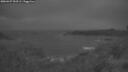 ./images/calvert/foggy-cove/20260427/foggy-cove20260427_053501M.jpg