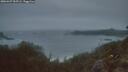 ./images/calvert/foggy-cove/20260427/foggy-cove20260427_055501M.jpg