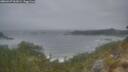 ./images/calvert/foggy-cove/20260427/foggy-cove20260427_061001M.jpg