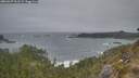 ./images/calvert/foggy-cove/20260427/foggy-cove20260427_061501M.jpg
