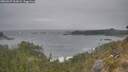 ./images/calvert/foggy-cove/20260427/foggy-cove20260427_062002M.jpg