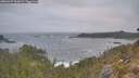./images/calvert/foggy-cove/20260427/foggy-cove20260427_064502M.jpg