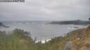 ./images/calvert/foggy-cove/20260427/foggy-cove20260427_070001M.jpg