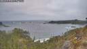 ./images/calvert/foggy-cove/20260427/foggy-cove20260427_070501M.jpg