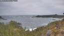 ./images/calvert/foggy-cove/20260427/foggy-cove20260427_071001M.jpg