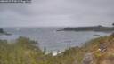 ./images/calvert/foggy-cove/20260427/foggy-cove20260427_072001M.jpg