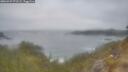 ./images/calvert/foggy-cove/20260427/foggy-cove20260427_072501M.jpg