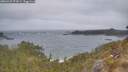 ./images/calvert/foggy-cove/20260427/foggy-cove20260427_073001M.jpg