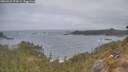 ./images/calvert/foggy-cove/20260427/foggy-cove20260427_073501M.jpg