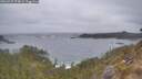 ./images/calvert/foggy-cove/20260427/foggy-cove20260427_074001M.jpg